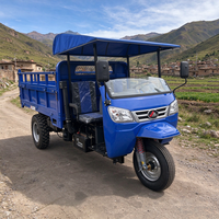 Tricycle de transport industriel à chargement lourd, tricycle à benne basculante diesel à trois roues