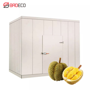 Phòng Lạnh Đi Bộ Trong Phòng Lạnh Tủ Đông, Tủ Đông Tủ Lạnh Đi Bộ, Phòng Lạnh Tủ Lạnh Phòng Lạnh Đi Bộ - Product Image 5