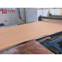 Rideaux d'eau de refroidissement pour usines, murs de rideaux d'eau pour fermes, rouleaux de papier pour serres sur mesure - Vente en gros