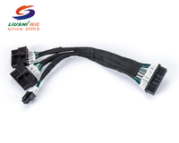 Kabel Rakitan Profesional 2.54mm 2/3/4/5/6 Pin Konektor Betina ECU SH JST ZH PH XH Kabel Khusus