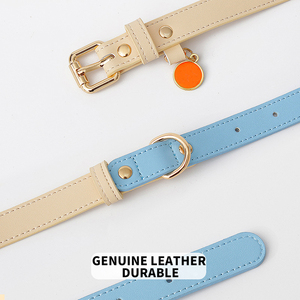 Collar de cuero ajustable personalizado para mascotas, hebilla de Metal de diseñador, sólido, duradero, resistente al desgaste, venta al por mayor - Product Image 5