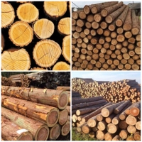 Linea di lavorazione dell'albero della foresta sega a nastro verticale in legno segheria verticale elettrica segheria a nastro verticale computerizzata