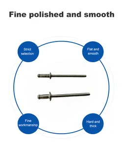 Mantar yuvarlak kubbe kafa kırmak çekin Mandrel kör perçin açık sonu 3.2mm 4.0mm 4.8mm 6.4mm