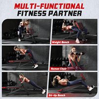 Chaise romaine de premier rang Équipement de fitness Chaise romaine de qualité Fitness populaire Bodybuilding