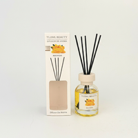 Diffuseur de parfum sans flamme aux huiles essentielles aux saveurs de fruits mélangés 100 ml, personnalisable, aromathérapie pour la maison