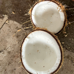 Noix de coco semi-décortiquées au meilleur prix, fraîches de VIA - Vietnam! - Product Image 4