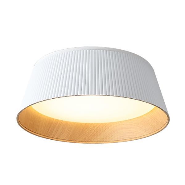 Modern Nordic Minimalist Iron Design Dining Room Light, Acrylic Guest Room & Bedroom LED Ceiling Light.
