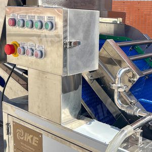 Macchina Automatica per Confezionamento IKE <span class=keywords><strong>Onion</strong></span>, Linea di Lavaggio a Bolle per Frutta Secca, Sterilizzatore Alimentare, Lavorazione di Caramelle, Verdure e Frutti di Mare - Product Image 6