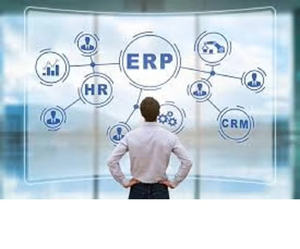 Websiteontwikkelaarsteam maakt CRM & ERP software op maat, compatibel met Mac, programmering & ontwikkeling, internetversie, voorraad beschikbaar. - Product Image 1