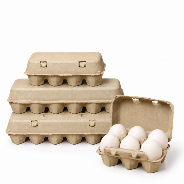6 Cell Paper Pulp Egg Carton with Lid Biodegradable Recyclable Molded Pulp Egg Tray for Supermarket Farm Wholesale