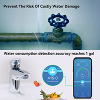 Valve d'eau intelligente NEO NAS-WV13W WiFi/Bluetooth avec détection de fuite, arrêt automatique, surveillance du débit, de la pression et de la température, contrôle manuel via application, pour maison connectée