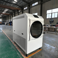 Machine de lyophilisation industrielle pour aliments HFD-35, pompe 35-40 kg, haute efficacité, certifiée CE ISO, Chine