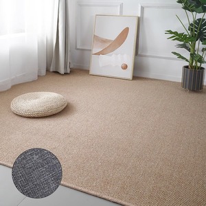 <span class=keywords><strong>Tapis</strong></span> d'intérieur et d'extérieur de couleur naturelle pour salon, patio et <span class=keywords><strong>cuisine</strong></span>, <span class=keywords><strong>tapis</strong></span> tissé solide, lavable, imitation <span class=keywords><strong>jute</strong></span>, sisal - Product Image 2