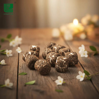 Chaoan Luyuan, Certificado ISO22000, OEM, Malvaviscos Liofilizados con Recubrimiento de Chocolate, Barra Sólida de Caramelo, Delicias Dulces, 12 Unidades