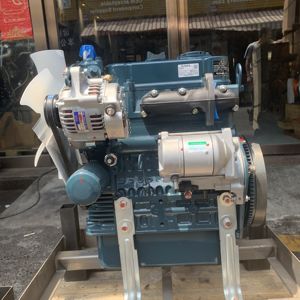 NUOVO Motore Diesel Originale D902 D902-EF08 a 3 Cilindri 11.8KW/2300RPM per Kubota - Product Image 2