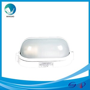 CCD12 60W Waterproof Marine Incandescent Lamp 110V <b>Glass</b> <b>Dome</b> Light for Water Tank Rainproof Outdoor Lighting Fixture Tube - Product Image 2