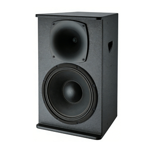 Altoparlante Professionale Singolo da 12 Pollici per Uso Interno in Stadi e Arene Sportive, Set Audio Professionale per Esterni - Product Image 3