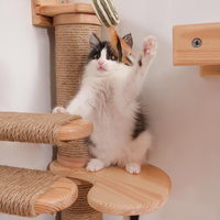 Hamac pour chat en bois, marches murales pour chat, griffoir pour chat