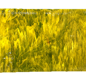 Vitrail - Product Image 4