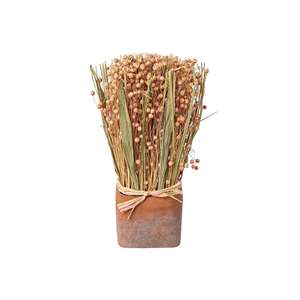 Trockenblumen Gras-Mix im Terracotta Topf 7x23cm rosa - Product Image 1