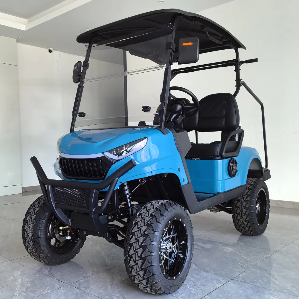Suministro de fábrica Mini carrito de golf eléctrico flexible Buggy de asiento trasero de 2 plazas con certificación CE