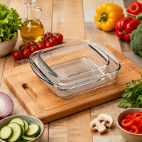 Plat de cuisson en verre borosilicate haute résistance Linuo, multi-usages, pour la cuisson au four