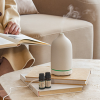 SCENTCARES Logo personnalisé vide électronique céramique parfum diffuseur personnel huile essentielle pierre humidificateur électrique ménage
