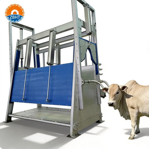 Attrezzatura ad Alta Efficienza per Mattatoi: Box Inclinato per il Contenimento e la Macellazione del Bestiame, Linea di Macellazione Bovini - Product Image 1