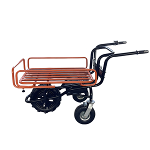 <span class=keywords><strong>Carretilla</strong></span> eléctrica sin escobillas <span class=keywords><strong>Carretilla</strong></span> de <span class=keywords><strong>tres</strong></span> <span class=keywords><strong>ruedas</strong></span> 500W Batería Barrow 260kg - Product Image 3