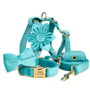 Harnais pour chien personnalisé en nylon rembourré en velours turquoise avec rivets, nœud papillon assorti, fleur, laisse, style H, combo avec sac à crottes pour chien - Product Image 1