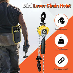 Diskon besar lift <span class=keywords><strong>Block</strong></span> 0.25T 1.5m Manual tuas rantai Hoist Jack Mini Hoist dengan Hook - Product Image 6