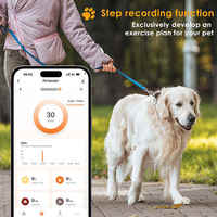 Collier GPS pour chien en plastique imperméable, réseau 4G, suivi en temps réel, système de surveillance de la santé des animaux de compagnie, autonomie de la batterie >20 heures