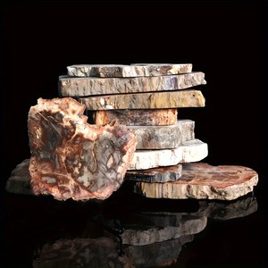 Fossili <span class=keywords><strong>di</strong></span> Legno Pietrificato: <span class=keywords><strong>Lastre</strong></span> <span class=keywords><strong>di</strong></span> Cristallo Grezzo Lucidato all'Ingrosso per Sottobicchieri - Product Image 6