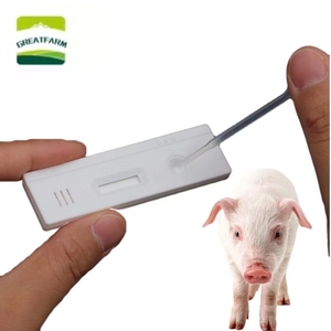 Kit de test de grossesse rapide <span class=keywords><strong>HCG</strong></span> Great-Farm, bandelettes de test de grossesse pour porcs, prix abordable - Product Image 1