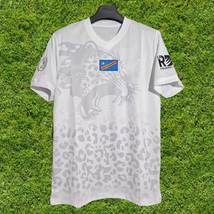 2026年非洲杯主场足球服批发T恤足球球衣定制毛绒高品质男士运动服 - Product Image 3