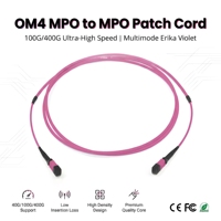 Kabel Patch OM4 MPO ke MPO Multimode 40G 100G 400G 50/125um LSZH 12 24 Core MTP Fiber Jumper untuk Switch Pusat Data