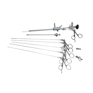 Set isteroscopio completo 302mm, 2.9mm, 30 ° con elemento di lavoro, guaina, pinza - Product Image 1