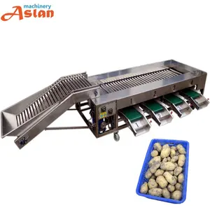 Havuç boyutu sıralayıcı greyder makinesi tatlı patates sınıflandırıcı makinesi patates salatalık boyutu sıralama makinesi