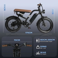 Vélo de montagne électrique rétro MX10 avec pneus larges 20x4.0, 48V 250W, 7 vitesses, fourche double en acier au carbone, selle longue et batterie au lithium