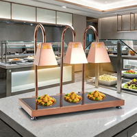 Lampe chauffante électrique en acier inoxydable pour aliments, station de maintien au chaud pour buffet, chauffage infrarouge, or rose, 500W, comptoir, hôtel, restaurant