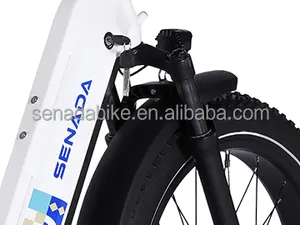 US Warehouse Only Dirt Ebike Retro Electric Bike For Adult