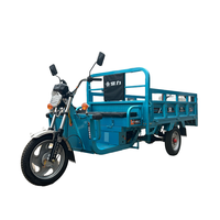 Chang Li Tricycle électrique 1 tonne Camion à benne basculante à 3 roues avec transport de marchandises sécurisé Moto sûre et durable
