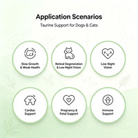 Complément alimentaire en poudre de taurine pour chiens et chats, soutien cardiaque, de la rétine et du cerveau, santé oculaire, renforcement immunitaire, taurine 120g pour animaux de compagnie, vente en gros