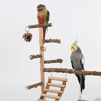 Perchoirs pour oiseaux en bois naturel écologiques, aire de jeux, tour d'escalade, jouets pour oiseaux avec 2 mangeoires en acier inoxydable