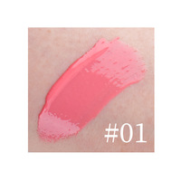 Tube carré brillant miroir brillant à lèvres laque hydratant brillant à lèvres facile à colorer maquillage liquide