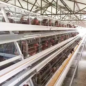 Alta Qualidade Automático Galvanizado Um Tipo Sistema De Gaiolas De Frango Camada para 3000 Galinhas Poultry Farm House