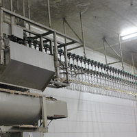 ZB prix d'usine automatique cuisse de poulet épluchage peau Machine griffe fabricant poulet pieds ligne de production
