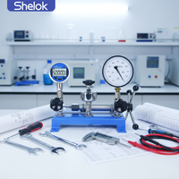 Shelok Manual Pneumatic Pressure Calibration Bench with Dual Ports for Efficient Calibration Work