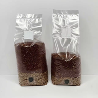 Sacs de culture de champignons transparents, résistants à la moisissure, en plastique robuste, respirants, livraison rapide