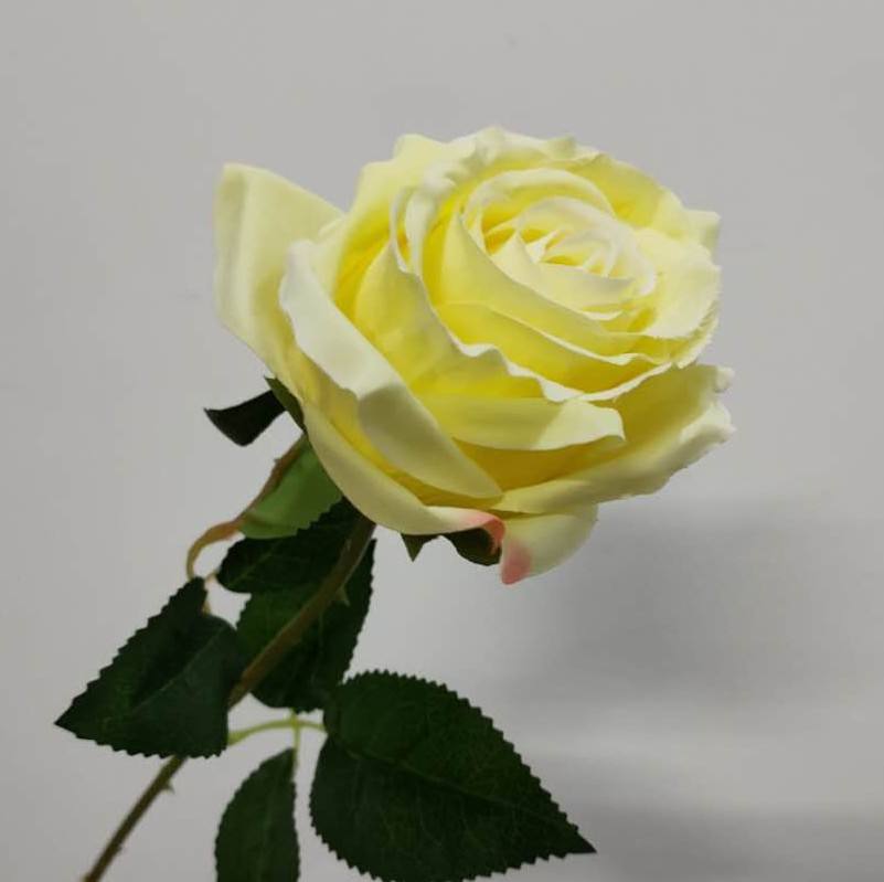 สีเหลือง